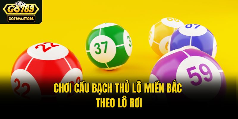 Chơi cầu bạch thủ lô Miền Bắc theo lô rơi