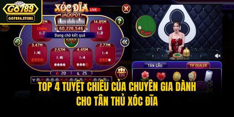 Top 4 tuyệt chiêu của chuyên gia dành cho tân thủ xóc đĩa