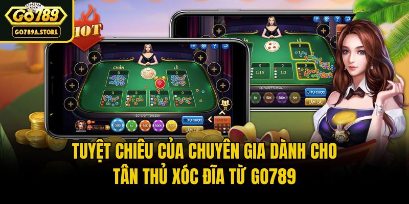Tuyệt Chiêu Của Chuyên Gia Dành Cho Tân Thủ Xóc Đĩa Từ Go789